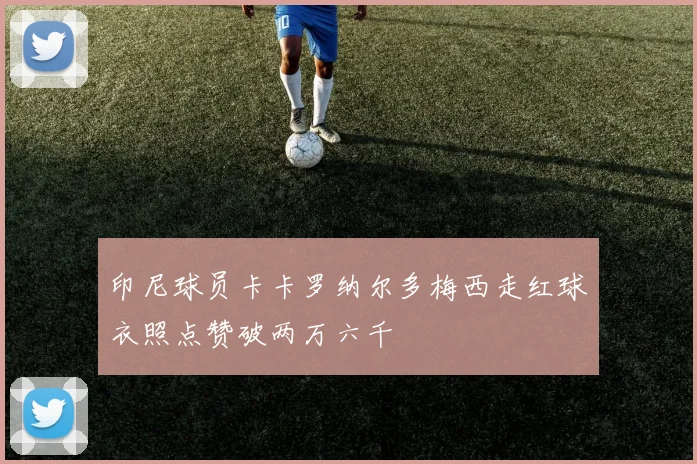 印尼球员卡卡罗纳尔多梅西走红球衣照点赞破两万六千