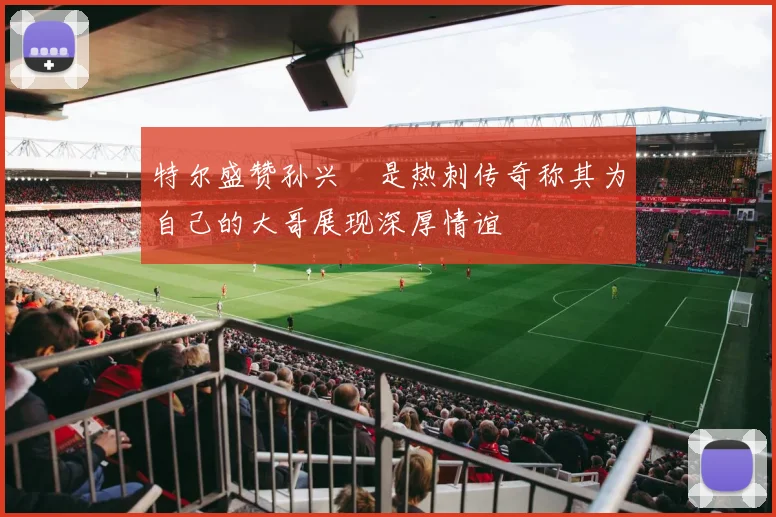 特尔盛赞孙兴慜是热刺传奇称其为自己的大哥展现深厚情谊