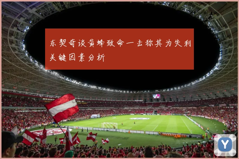 东契奇谈黄蜂致命一击称其为失利关键因素分析