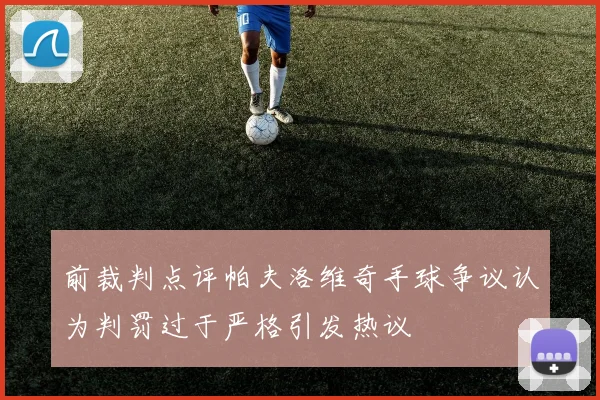 前裁判点评帕夫洛维奇手球争议认为判罚过于严格引发热议